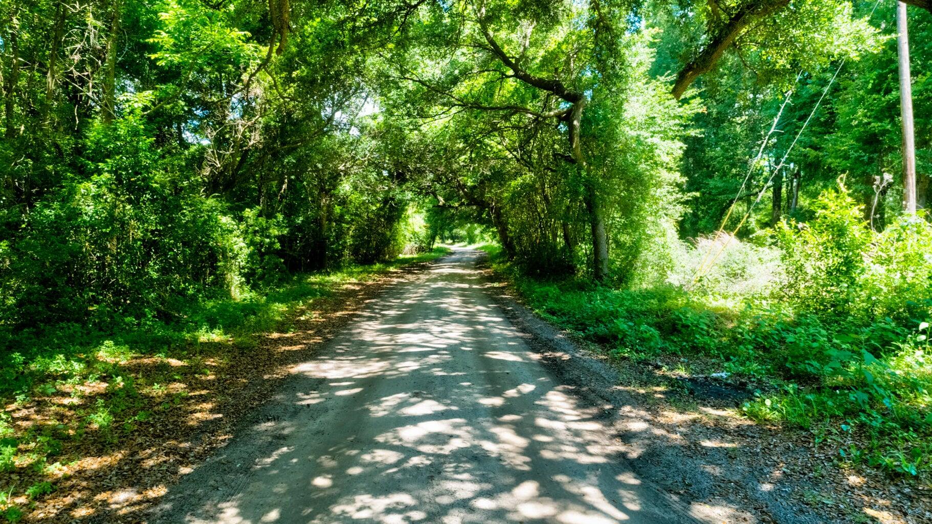 0000 Arsburn Road James Island SC 29412