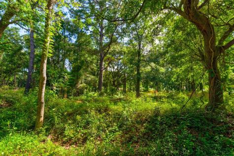0000 Arsburn Road James Island SC 29412