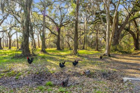 163 Keans Neck Road Seabrook SC 29940