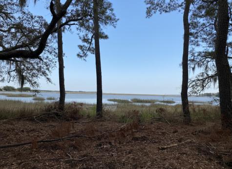 34 Creekmoor Lane Seabrook SC 29940