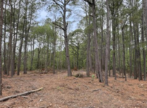 34 Creekmoor Lane Seabrook SC 29940