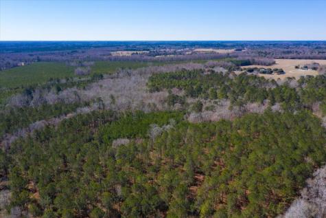 0 Beulah Cuttino Road Sumter SC 29150