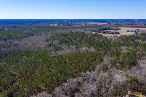 0 Beulah Cuttino Road Sumter SC 29150