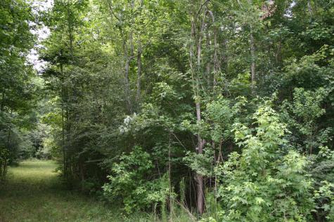 0 Kitfield Road Moncks Corner SC 29461