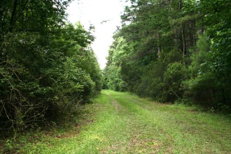 0 Kitfield Road Moncks Corner SC 29461