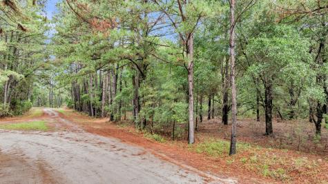 0 Josie Ridge Road Wadmalaw Island SC 29487