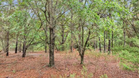 0 Josie Ridge Road Wadmalaw Island SC 29487