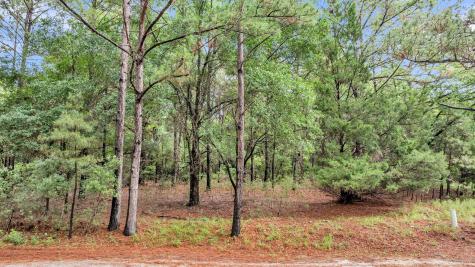 0 Josie Ridge Road Wadmalaw Island SC 29487