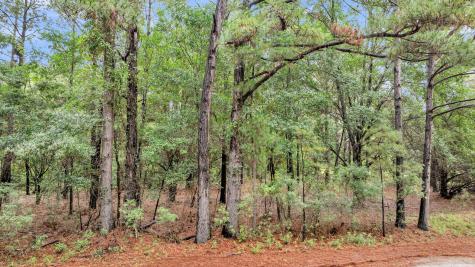 0 Josie Ridge Road Wadmalaw Island SC 29487