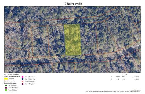 12 Barnaby Bluff Seabrook SC 29940