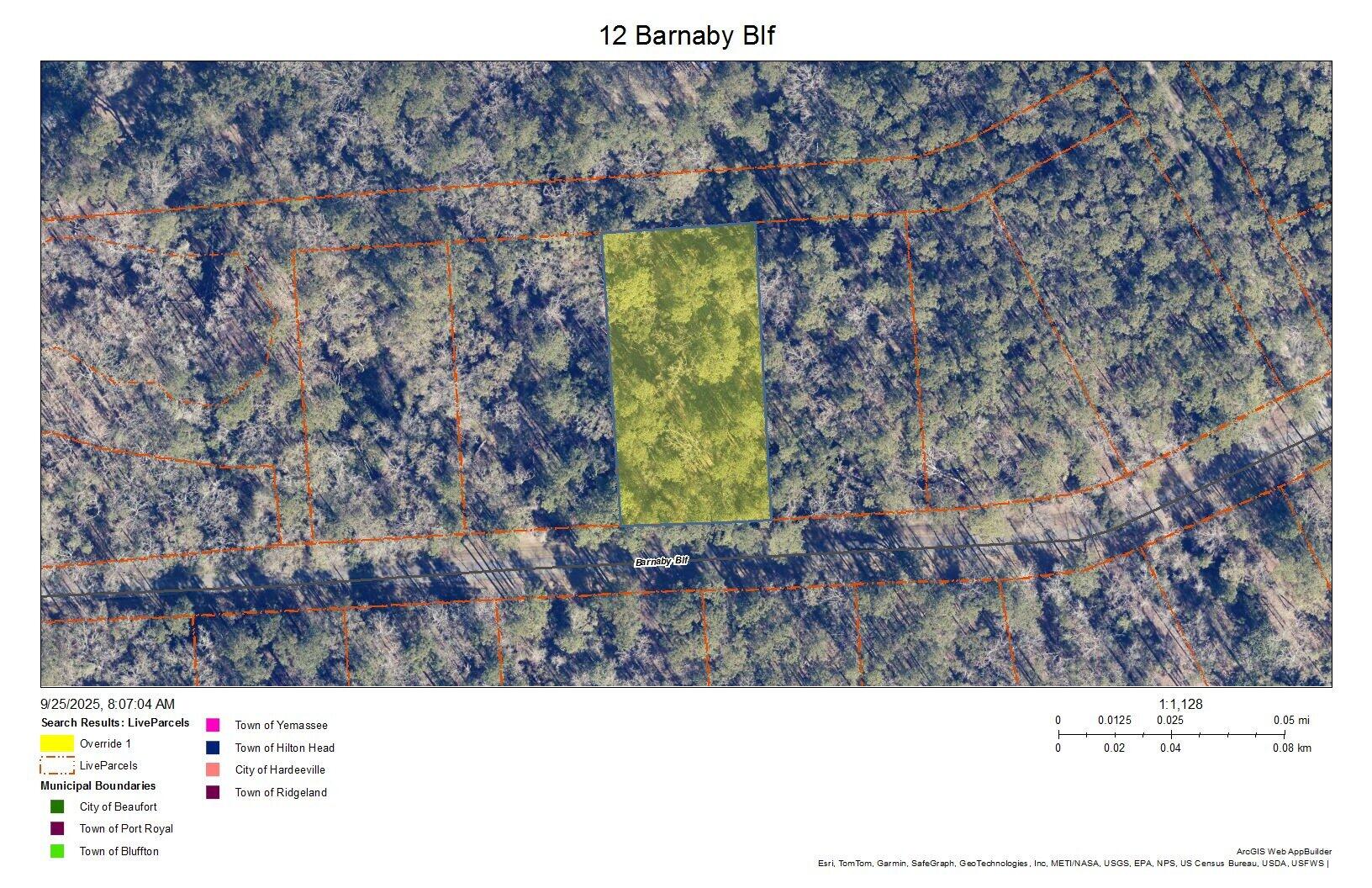 12 Barnaby Bluff Seabrook SC 29940