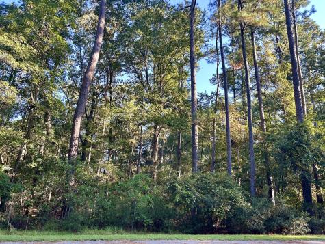 12 Barnaby Bluff Seabrook SC 29940
