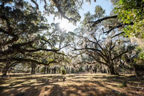 2 Mauricena Road Georgetown SC 29440