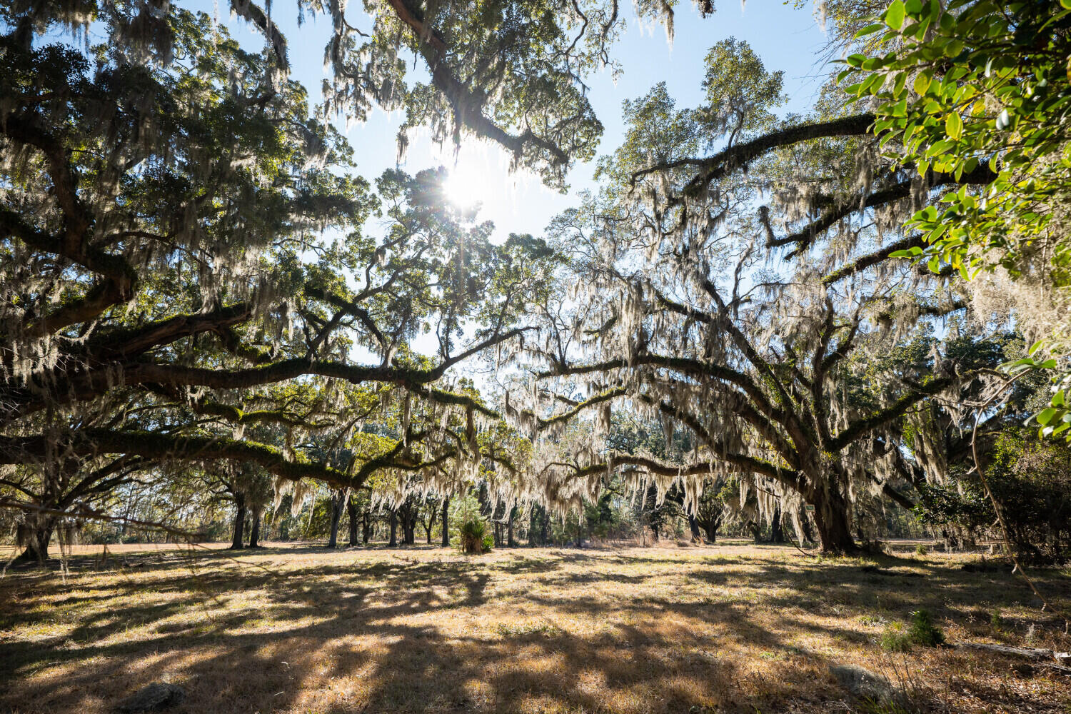 2 Mauricena Road Georgetown SC 29440