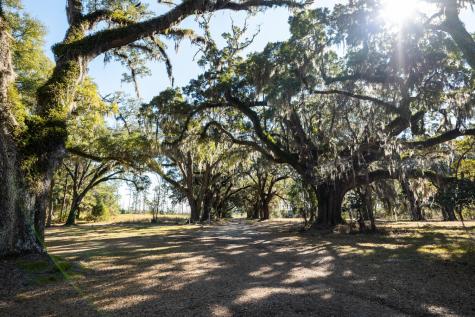 2 Mauricena Road Georgetown SC 29440