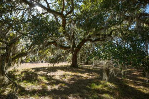2 Mauricena Road Georgetown SC 29440