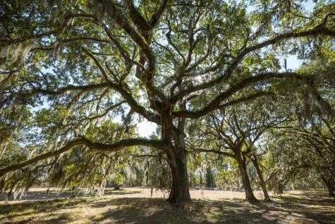 2 Mauricena Road Georgetown SC 29440
