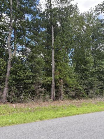 0 University Drive North Charleston SC 29418