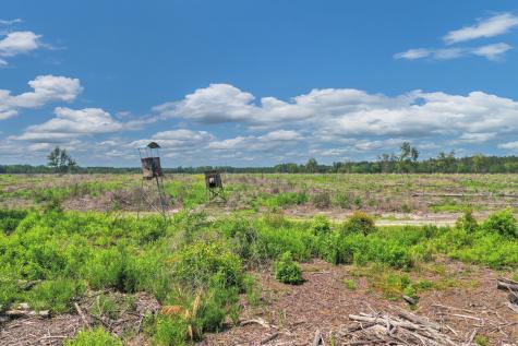 5120 N Brewington Road Manning SC 29102