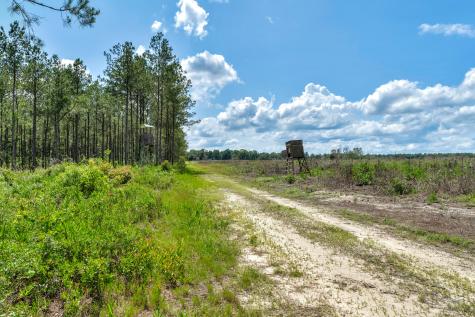 5120 N Brewington Road Manning SC 29102