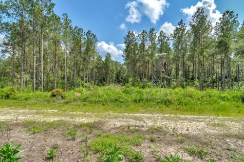 5120 N Brewington Road Manning SC 29102