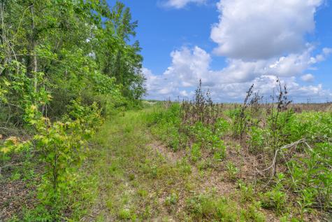 5120 N Brewington Road Manning SC 29102