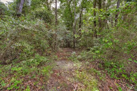 5120 N Brewington Road Manning SC 29102