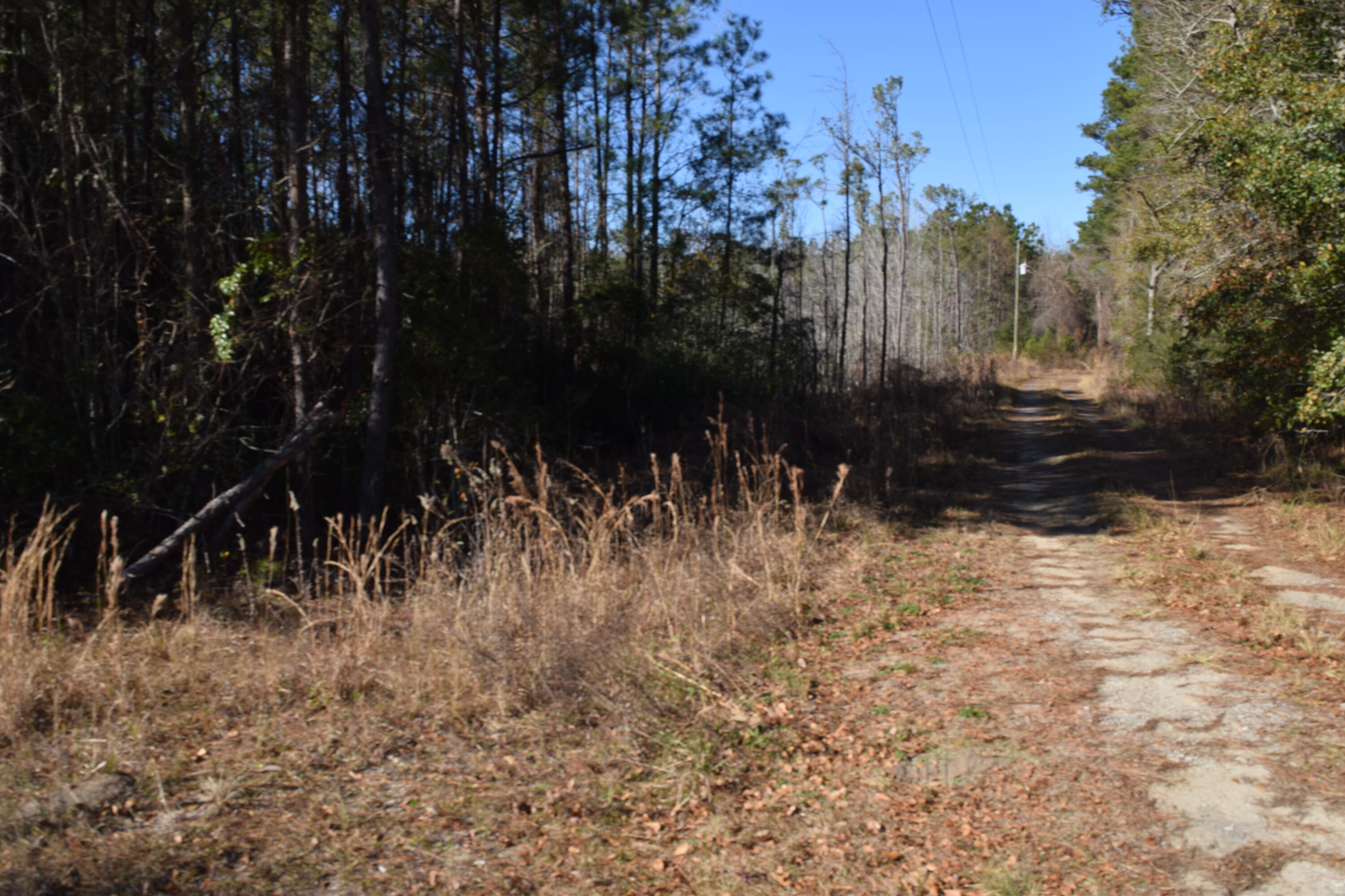 0 Black Tom Road Moncks Corner SC 29461