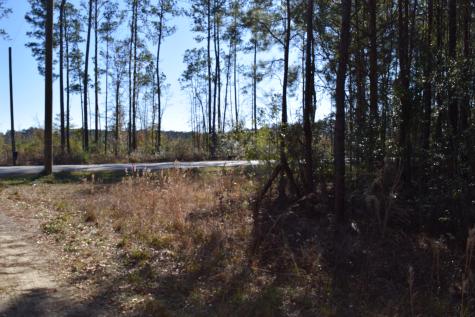 0 Black Tom Road Moncks Corner SC 29461