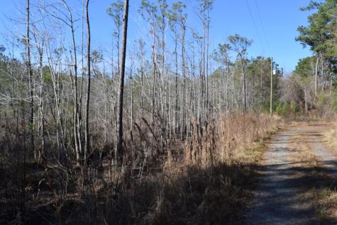 0 Black Tom Road Moncks Corner SC 29461