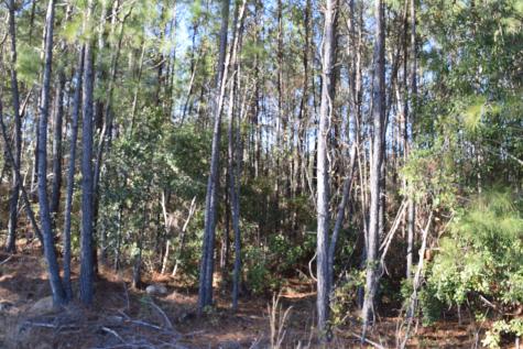 0 Black Tom Road Moncks Corner SC 29461