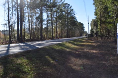 0 Black Tom Road Moncks Corner SC 29461