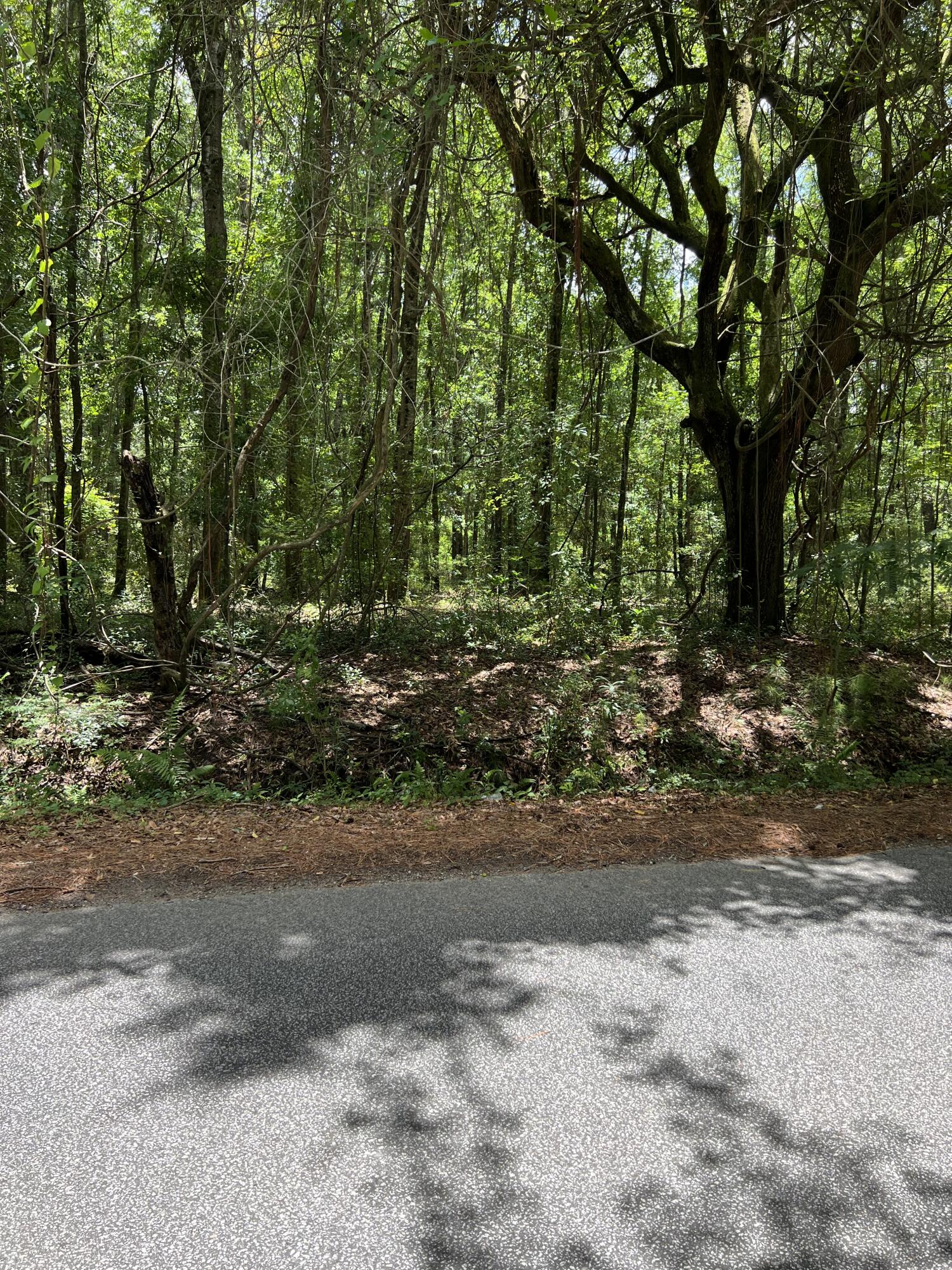 00 Cane Slash Road Charleston SC 29401