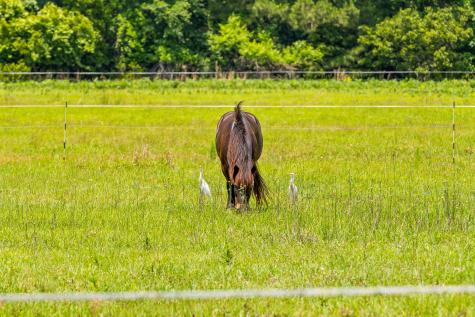 2571 Bryans Dairy Road Johns Island SC 29455