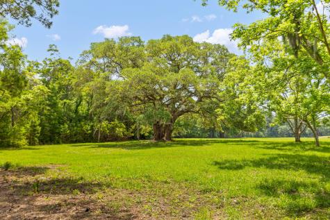 2571 Bryans Dairy Road Johns Island SC 29455