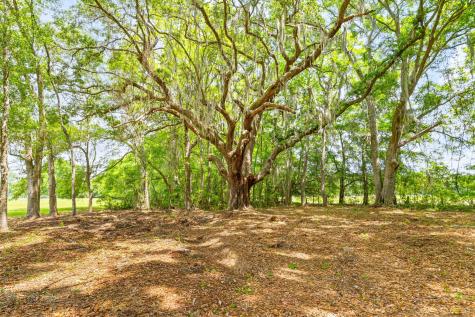 2571 Bryans Dairy Road Johns Island SC 29455
