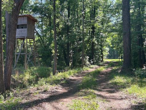 3302 Old Pond Road Johns Island SC 29455