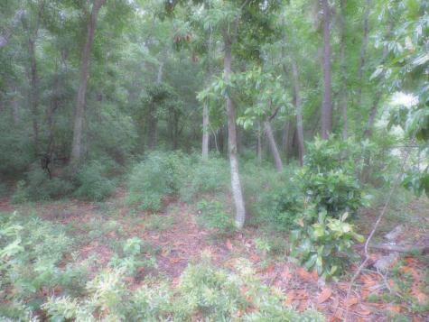 0 Folly Road Charleston SC 29412