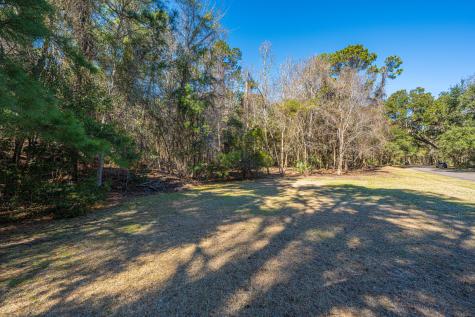 4066 Gnarled Oaks Lane Johns Island SC 29455