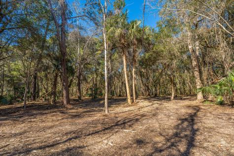 4066 Gnarled Oaks Lane Johns Island SC 29455