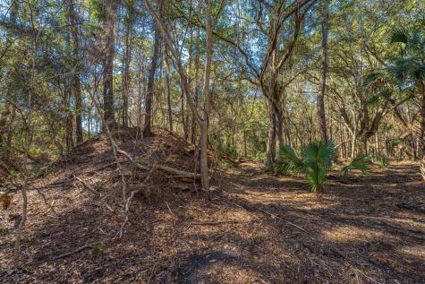 4066 Gnarled Oaks Lane Johns Island SC 29455