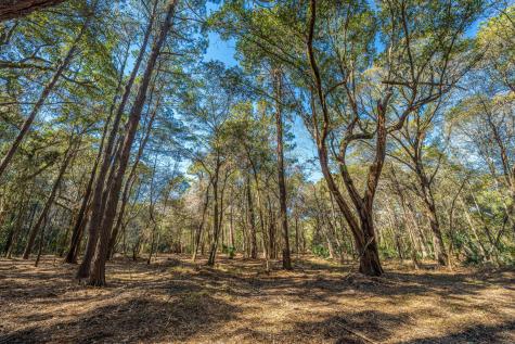 4066 Gnarled Oaks Lane Johns Island SC 29455