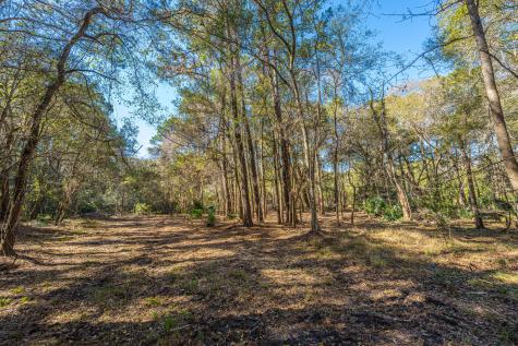 4066 Gnarled Oaks Lane Johns Island SC 29455