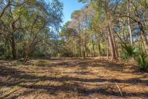 4066 Gnarled Oaks Lane Johns Island SC 29455