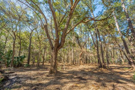 4066 Gnarled Oaks Lane Johns Island SC 29455