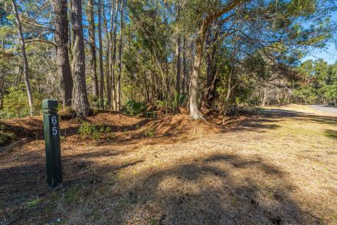 4066 Gnarled Oaks Lane Johns Island SC 29455