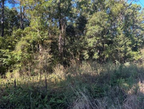 00 Joyner Lane Charleston SC 29492