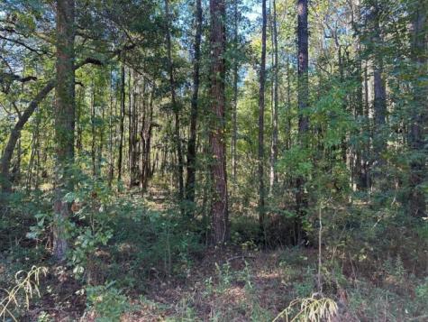 00 Joyner Lane Charleston SC 29492