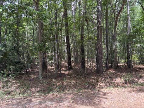 00 James Weston Drive Mount Pleasant SC 29429