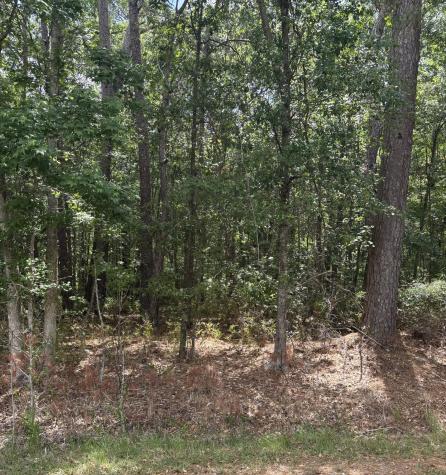00 James Weston Drive Mount Pleasant SC 29429